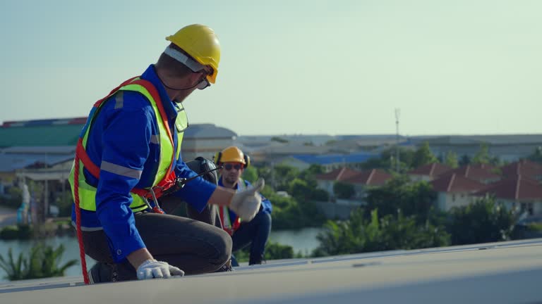 Best Roof Maintenance and Cleaning  in Lopezville, TX