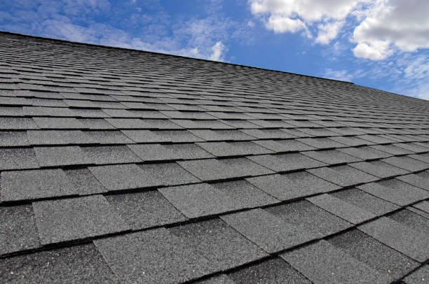 Best Storm Damage Roof Repair  in Lopezville, TX